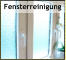 Fensterreinigung